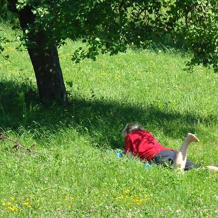 Buchgrabenhof Lägenhet Windisch Minihof Exteriör bild