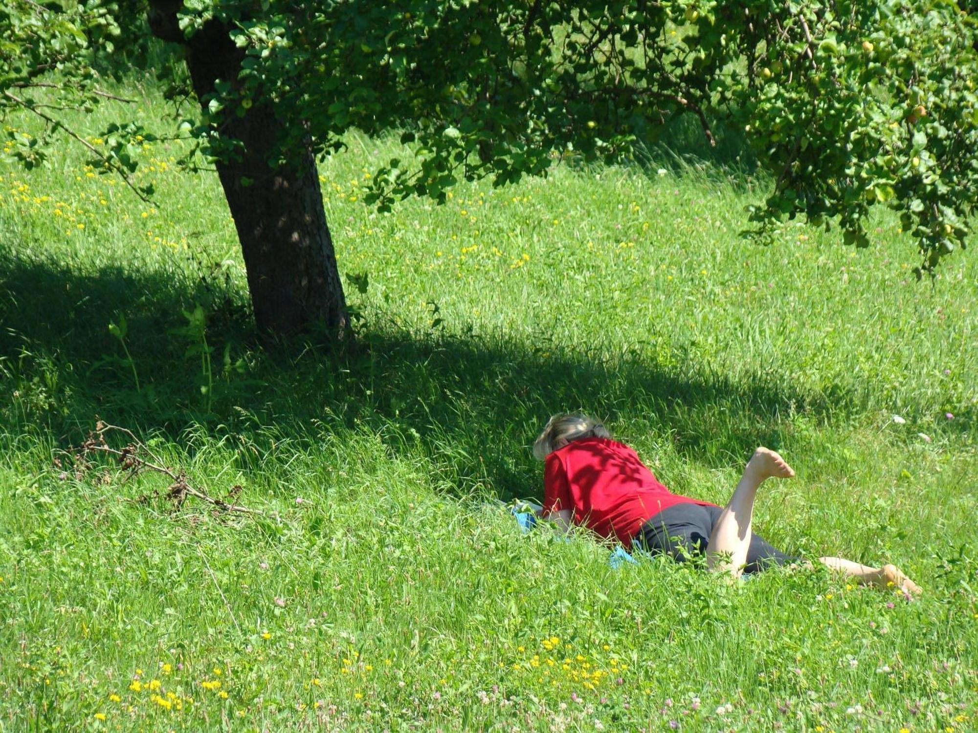 Buchgrabenhof Lägenhet Windisch Minihof Exteriör bild