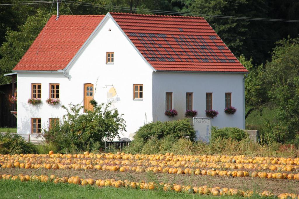 Buchgrabenhof Lägenhet Windisch Minihof Exteriör bild